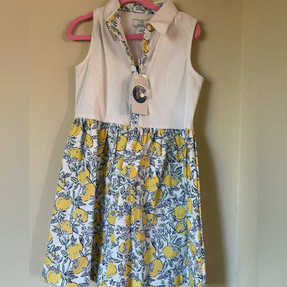 Classic Prep White and Blue Floral Sundress